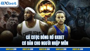 cá cược bóng rổ 8XBET
