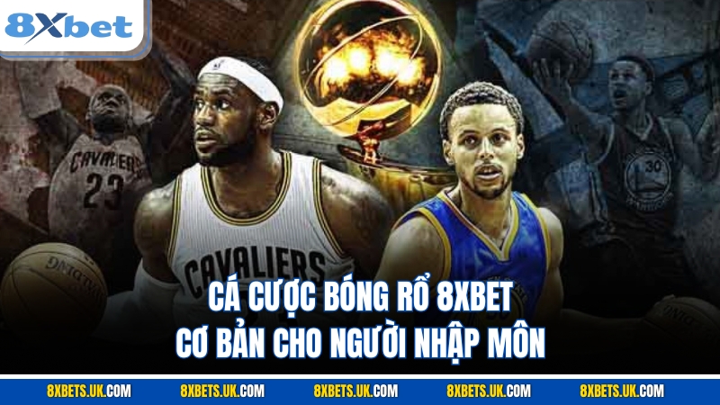 cá cược bóng rổ 8XBET