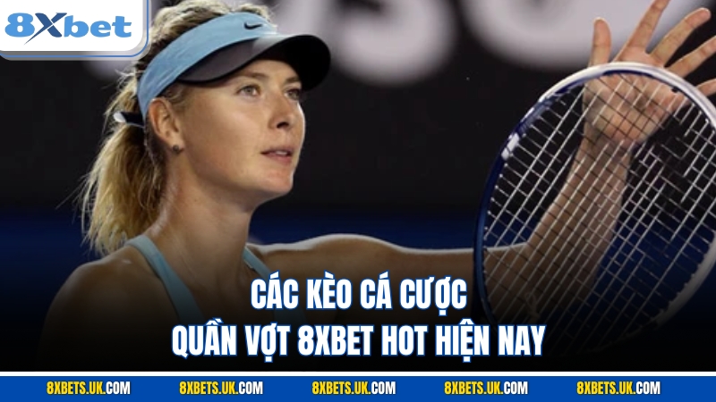 Các kèo cá cược quần vợt 8XBET hot hiện nay
