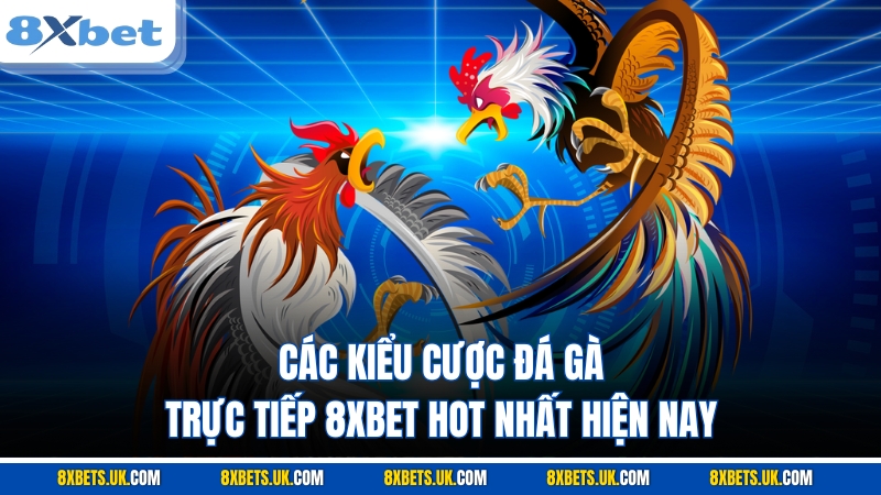 Các kiểu cược đá gà trực tiếp 8XBET hot nhất hiện nay