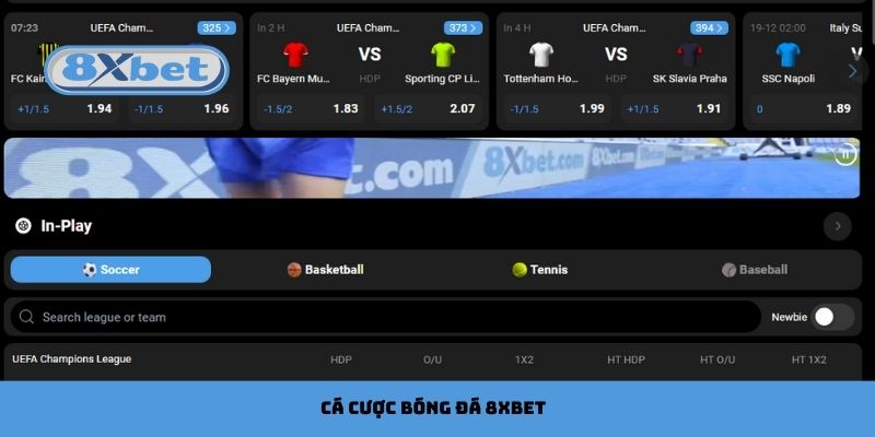 cá cược bóng đá 8xbet