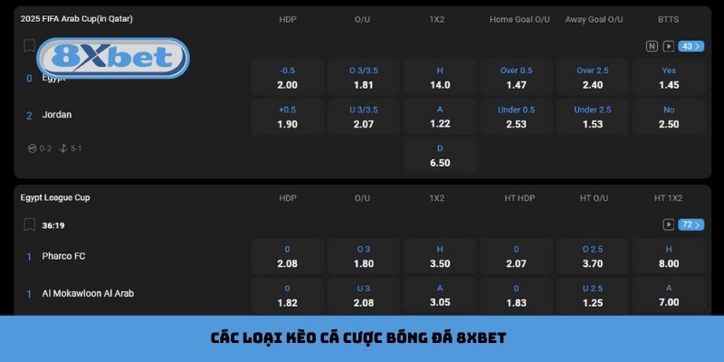 Các loại kèo cơ bản tại cá cược bóng đá 8xbet