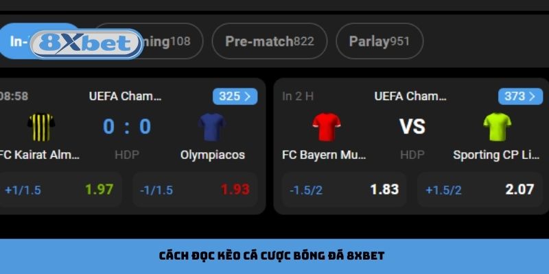 Cách đọc kèo cá cược bóng đá 8xbet