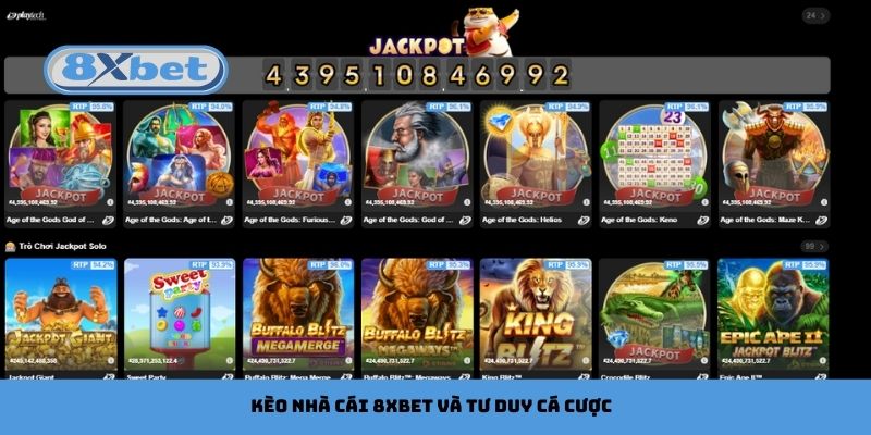 Kèo nhà cái 8xbet và tầm nhìn về tư duy cá cược