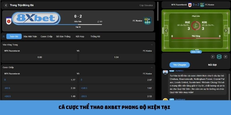 Cá cược thể thao 8xbet cần nắm rõ phong độ hiện tại