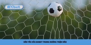 Kèo Tài Xỉu 8xbet Được Dùng Nhiều Trong Những Trận Nào