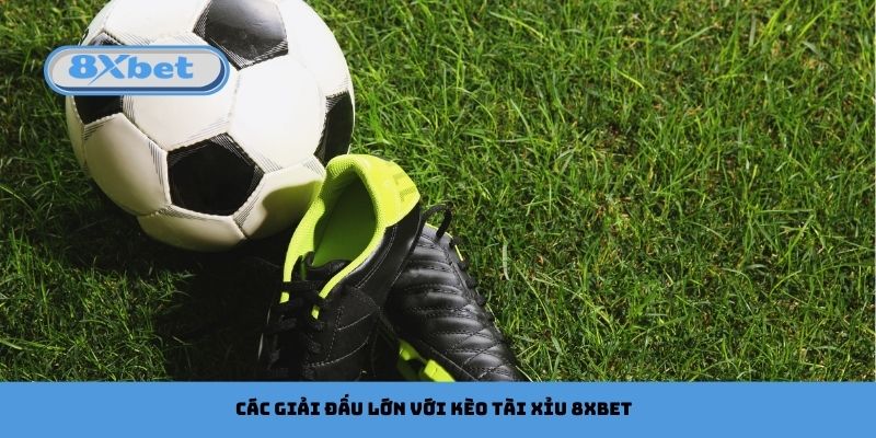 Các giải đấu lớn với kèo tài xỉu 8xbet