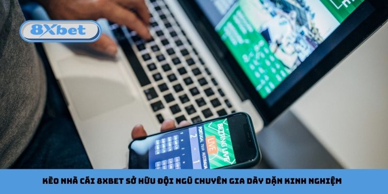 Kèo nhà cái 8xbet sở hữu đội ngũ chuyên gia dày dặn kinh nghiệm