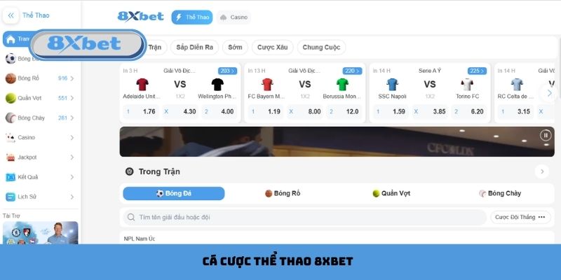 cá cược thể thao 8xbet