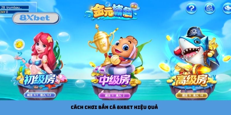 Cách chơi bắn cá 8xbet hiệu quả