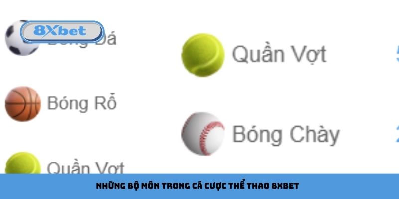 Những bộ môn trong cá cược thể thao 8xbet