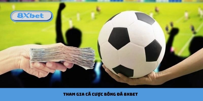 Tham gia cá cược bóng đá 8xbet với nhiều mùa giải